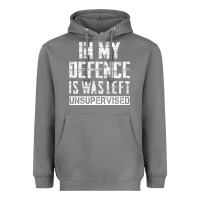 Storm in my defence i was left unsupervised Heavyweight Hoodie - artisFamous