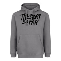 Storm the story so far Heavyweight Hoodie - artisFamous