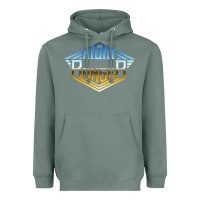 Sage NIGHT RANGER Music Heavyweight Hoodie - artisFamous
