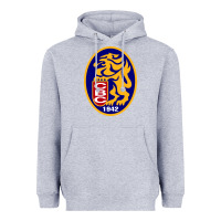 Heather Grey leones del caracas Heavyweight Hoodie - artisFamous