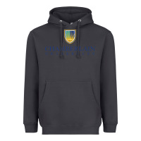 Smoke Chamberlain College Nursing Heavyweight Hoodie - artisFamous