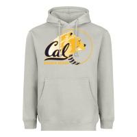 Moon Dust cal col golden Heavyweight Hoodie - artisFamous