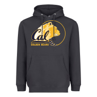 Smoke cal col golden Heavyweight Hoodie - artisFamous