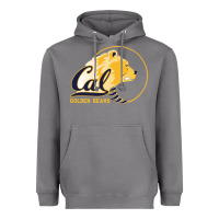Storm cal col golden Heavyweight Hoodie - artisFamous