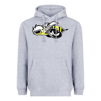 Heather Grey super bee Heavyweight Hoodie - artisFamous