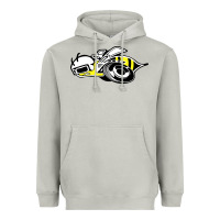 Moon Dust super bee Heavyweight Hoodie - artisFamous