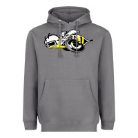 Storm super bee Heavyweight Hoodie - artisFamous