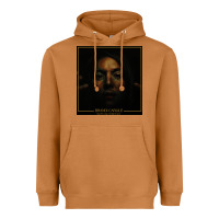 Meerkat brandi carlile  by the way,i forgive you Heavyweight Hoodie - artisFamous