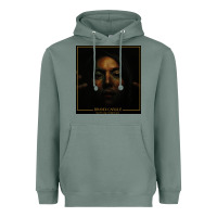 Sage brandi carlile  by the way,i forgive you Heavyweight Hoodie - artisFamous