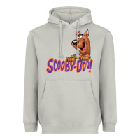 Moon Dust Scooby-Doo Heavyweight Hoodie - artisFamous