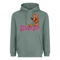 Sage Scooby-Doo Heavyweight Hoodie - artisFamous