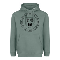 Sage Illinois Institute of Technology College Heavyweight Hoodie - artisFamous