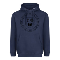 Navy Illinois Institute of Technology College Heavyweight Hoodie - artisFamous