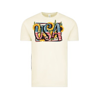 Vintage Arctic USA 4th of July Vintage Tee - FaDigitalArtStudio
