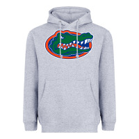 Heather Grey gators gator Heavyweight Hoodie - artisFamous