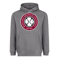 Storm Rosalind Franklin College of Medicine and Science Heavyweight Hoodie - artisFamous