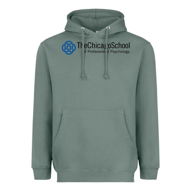 The Chicago School Of Professional Psychology Heavyweight Hoodie by artisFamous | Teevron
