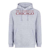 Heather Grey College of Chicago Heavyweight Hoodie - artisFamous