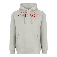 Moon Dust College of Chicago Heavyweight Hoodie - artisFamous