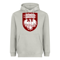 Moon Dust College of Chicago Heavyweight Hoodie - artisFamous