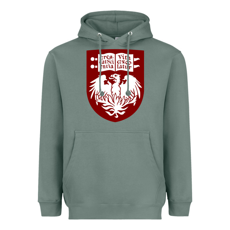 College Of Chicago Heavyweight Hoodie by artisFamous | Teevron