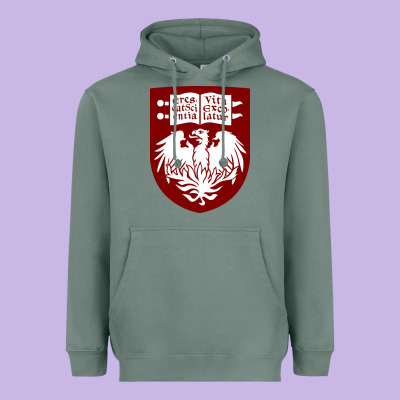 College Of Chicago Heavyweight Hoodie Designed By Artisfamous
