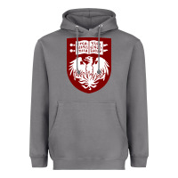 Storm College of Chicago Heavyweight Hoodie - artisFamous