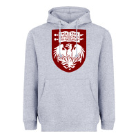 Heather Grey College of Chicago Heavyweight Hoodie - artisFamous