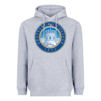 Heather Grey gettysburg college Heavyweight Hoodie - artisFamous