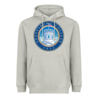 Moon Dust gettysburg college Heavyweight Hoodie - artisFamous