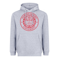 Heather Grey northeastern university Heavyweight Hoodie - artisFamous