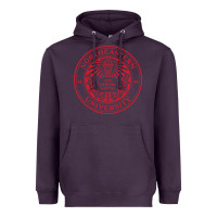 Plum northeastern university Heavyweight Hoodie - artisFamous