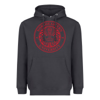 Smoke northeastern university Heavyweight Hoodie - artisFamous
