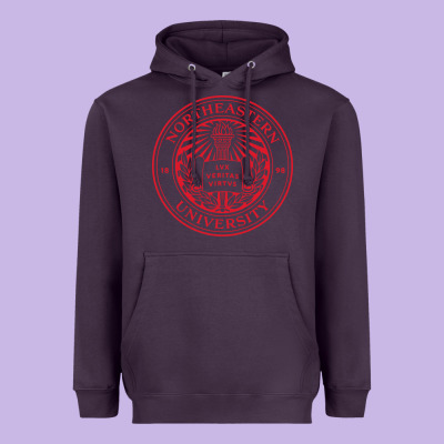 Northeastern University Heavyweight Hoodie Designed By Artisfamous