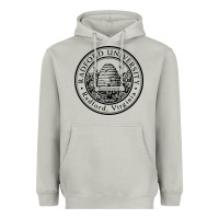 Moon Dust radford university Heavyweight Hoodie - artisFamous