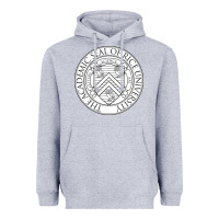 Heather Grey rice university Heavyweight Hoodie - artisFamous