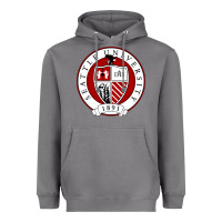 Storm seattle university Heavyweight Hoodie - artisFamous