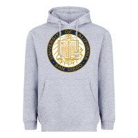 Heather Grey university of california, san diego Heavyweight Hoodie - artisFamous