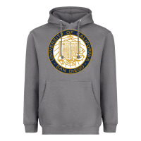 Storm university of california, san diego Heavyweight Hoodie - artisFamous