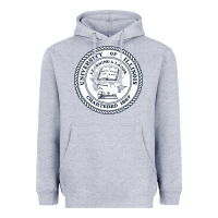 Heather Grey university of illinois Heavyweight Hoodie - artisFamous