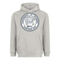 Moon Dust university of illinois Heavyweight Hoodie - artisFamous