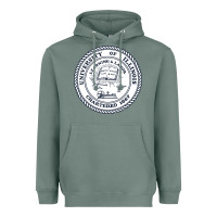 Sage university of illinois Heavyweight Hoodie - artisFamous