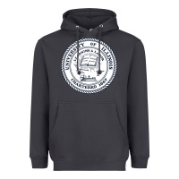 Smoke university of illinois Heavyweight Hoodie - artisFamous