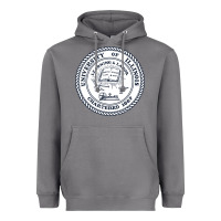 Storm university of illinois Heavyweight Hoodie - artisFamous