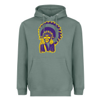 Sage Haskell Indian Nations College Heavyweight Hoodie - artisFamous