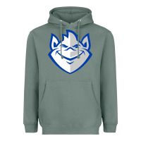 Sage saint louis billikens Heavyweight Hoodie - artisFamous