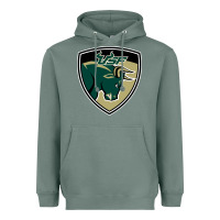 Sage south florida bulls Heavyweight Hoodie - artisFamous