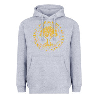 Heather Grey Maharishi International College Heavyweight Hoodie - artisFamous