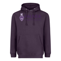 Plum Palmer College of Chiropractic Heavyweight Hoodie - artisFamous