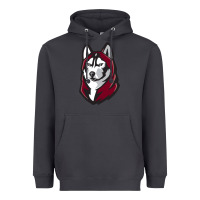 Smoke bloomsburg huskies Heavyweight Hoodie - artisFamous